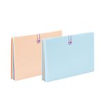 Trieur extensible Viquel Rainbow Pastel 8 compartiments Modèle aléatoire