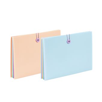 Trieur extensible Viquel Rainbow Pastel 8 compartiments Modèle aléatoire