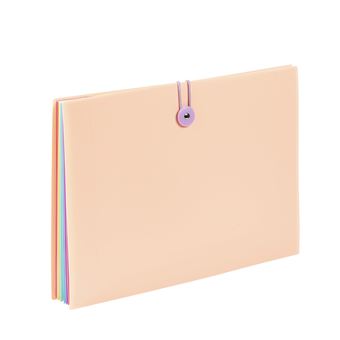 Trieur extensible Viquel Rainbow Pastel 8 compartiments Modèle aléatoire