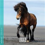 CALENDRIER 2023 30X30 CHEVAUX