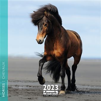 CALENDRIER 2023 30X30 CHEVAUX