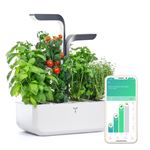 Potager d’intérieur connecté Véritable Connect Infinity Grey