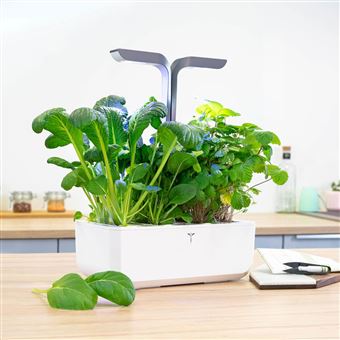 Potager d’intérieur connecté Véritable Connect Infinity Grey