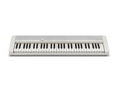 Clavier Compact Casio Ct-S 1We Avec 61 Touches Et Sonorités Vintage Gris