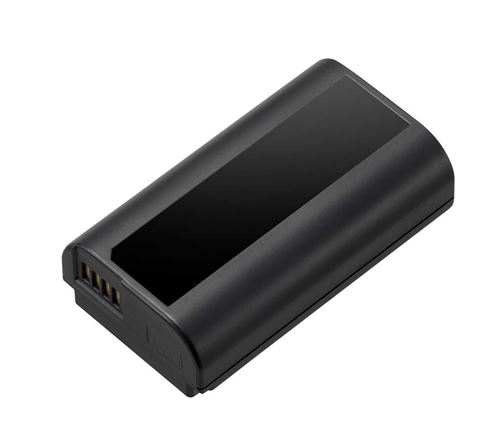 Batterie Panasonic DMW-BLJ31E pour S1 et S1R