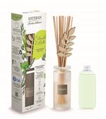 Bouquet parfumé Esteban Citronnelle menthe 100 ml