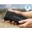 Enceinte Bluetooth Anker SoundCore Select Noir_4