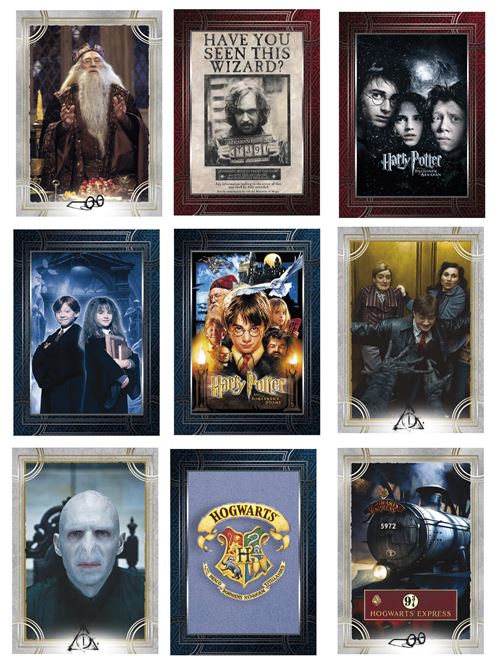 Boîte 50 pochettes Panini Harry Potter Saga - Carte à collectionner - Achat  & prix