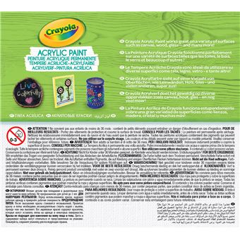 Kit créatif Crayola Acrylic Paint Couleurs primaires