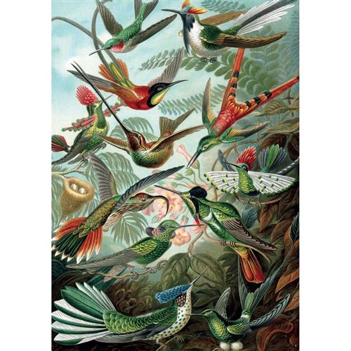 Puzzle 1000 pièces Piatnik Haeckel Colibris - vue 2