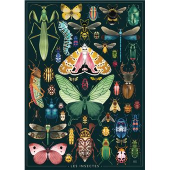 Puzzle 1000 pièces Nathan Les Insectes par Rebecca Romeo