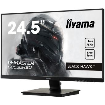 Ecran-Iiyama-G-Master-G2530HSU