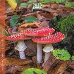 CALENDRIER 2023 16X16 CHAMPIGNONS