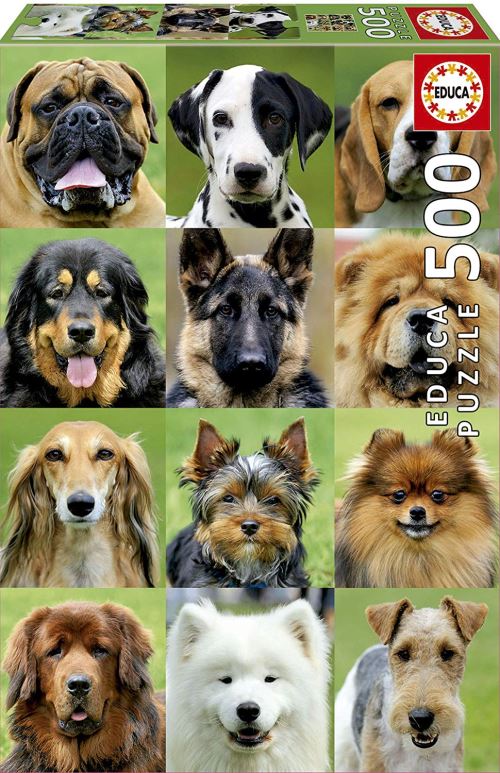 500 COLLAGE CHIENS