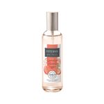 Vaporisateur Esteban Pomelo Basilic 100 ml