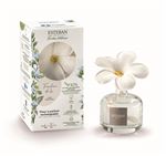 Fleur à parfum Esteban Fraicheur de lin 75 ml