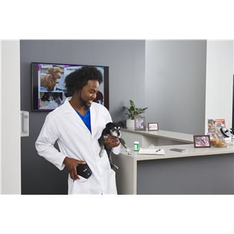 Etiqueteuse sans fil compacte Dymo 2172855 Letratag 200 B Noir