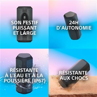 Enceinte sans fil Bluetooth portable Sony SRS-XE300 Gris