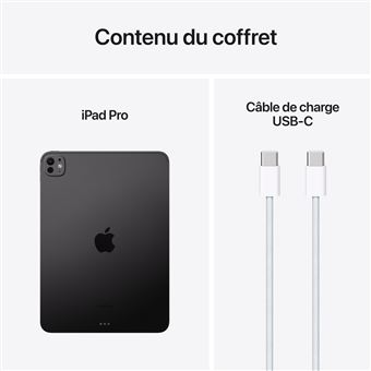 Apple iPad Pro - 11 Zoll - Apple M4 Chip - 256 GB - Space Schwarz