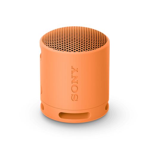Enceinte Sony Srs-Xb100 Corail