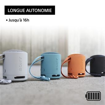 Enceinte sans fil bluetooth Ultra portable Sony SRS-XB100 Corail