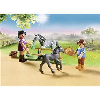 Playmobil Country 70519 Café du poney club