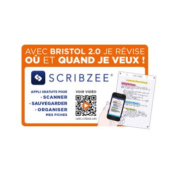 Oxford - Pack de 30 Fiches Bristol Scribzee - 12,5 x 20 cm - petits  carreaux - perforées Pas Cher