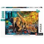 Puzzle 2000 pièces Nathan Promenade nocturne