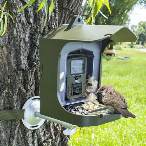 Mangeoire oiseaux avec caméra Trax Distribution Vert - Mangeoires et  abreuvoirs - Achat & prix