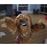 Figurine Star Wars Chewbacca Interactif_3