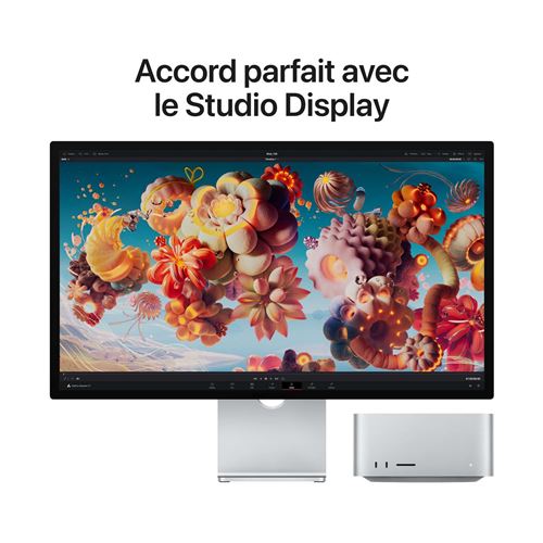 Mac Studio Puce Apple M1 Max 32 Go RAM 512 Go SSD Argent 2022