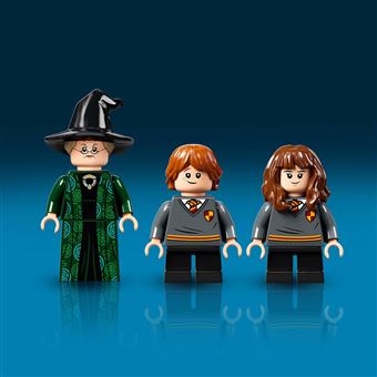 LEGO® Harry Potter™ 76382 Poudlard le Cours de Métamorphose