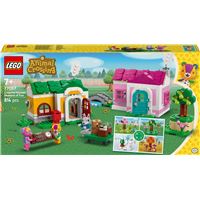 LEGO® Animal Crossing™ 77057 Les maisons créatives : au gré des saisons