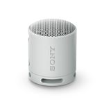 Sony SRS-XB100 - Haut-parleur - pour utilisation mobile - sans fil - Bluetooth - Contrôlé par application - gris clair