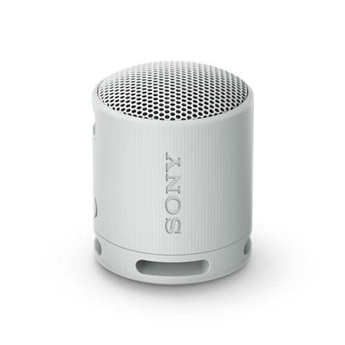 Enceinte sans fil bluetooth Ultra portable Sony SRS-XB100 Gris