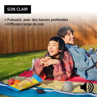 Sony SRS-XB100 - Haut-parleur - pour utilisation mobile - sans fil - Bluetooth - Contrôlé par application - gris clair