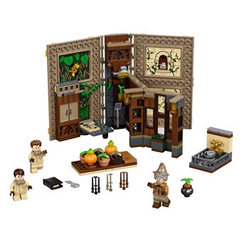 LEGO® Harry Potter™ 76384 Poudlard Le cours de botanique