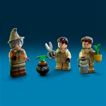 LEGO® Harry Potter™ 76384 Poudlard Le cours de botanique