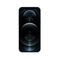 Apple iPhone 12 Pro Max 6,7" 256 Go Double SIM 5G Argent