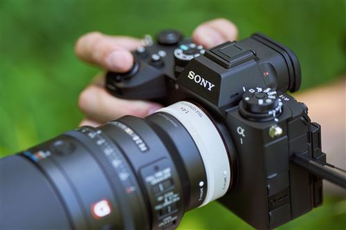 Les melleurs objectfs macro Sony en 2024 - Quel objectf chosr