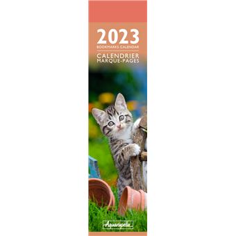 CALENDRIER 2023 MP CHATS