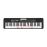 Clavier Casio LK-S250 Casiotone 61 touches lumineuses 400 sons Noir_0