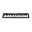 Clavier Casio LK-S250 Casiotone 61 touches lumineuses 400 sons Noir_1