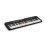 Clavier Casio LK-S250 Casiotone 61 touches lumineuses 400 sons Noir_2