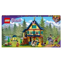 Lego friends 41449 la maison familiale dandrea, jouet avec maison de  poupees, pour enfant de 6 ans et plus filles et garcons LEGO41449 -  Conforama