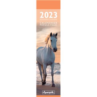 CALENDRIER 2023 MP CHEVAUX