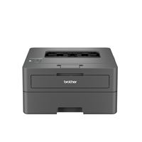 Imprimante monofonction Brother HL-L2445DW Gris
