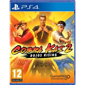 Cobra Kai 2 Dojos rising PlayStation 4