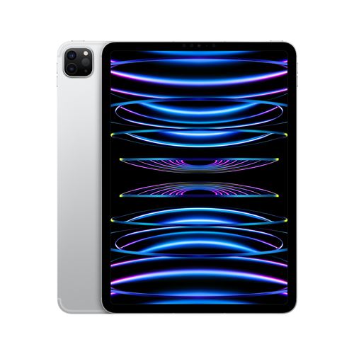 Apple iPad Pro 11 Puce Apple M2 2To Argent Wifi Cellular Fin 2022
