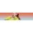 Lecteur audio Android Sony NWA105 16 Go Corail_2